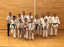 Image result for Kenshukai Karate