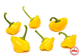 Afbeeldingsresultaat voor yellow mushroom hot pepper