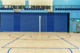 Image result for Surrey Heath Netball Club