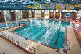 Image result for Kingsbridge Kingfishers Swimming Club