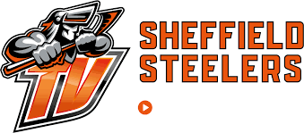 Image result for Sheffield Steelers