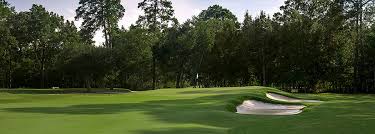 Image result for Chelmsford Gc