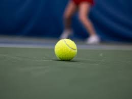 Image result for Whitton Tennis Club