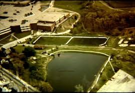 Image result for Croft Netball Club