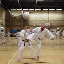 Image result for Seiki Juku Karate Club