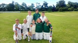Image result for Morpeth Junior Cricket Club