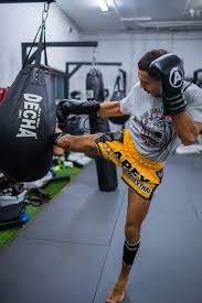 Image result for Vipers Thai/Kickboxing School