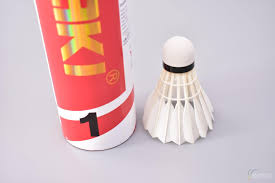 Image result for Shuttles Badminton Club (Frome)