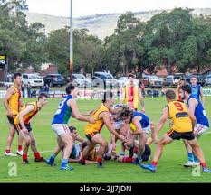 Image result for Aquinas Football Club