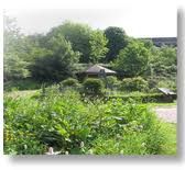 Image result for Saddleworth Cricket Bowling & Tennis Club