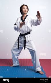 Image result for Dujon Tae Kwon Do