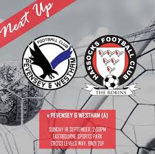 Image result for Hassocks Ladies FC