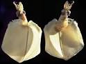 Indie Squid Kid » Bigfin Squid