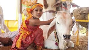 Billedresultat for hindu