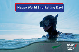 Image result for Dorking Snorkelling Club