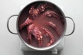 Image result for octopus in a basque