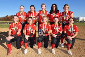 Image result for Dragons Softball Club