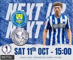 Image result for Epsom & Ewell Football Club