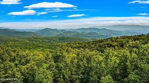 Image result for mountain top seashell