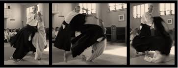 Image result for Bristol Temple Gate Dojo