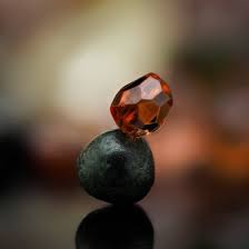 Attēlu rezultāti vaicājumam “Diderma roanense macro”