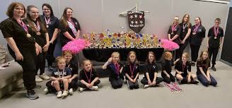 Image result for Platinum Majorettes
