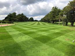 Image result for Lansdown Cricket Club