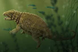 Image result for MINMI