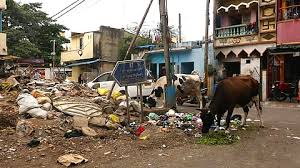 Image result for Bangalore Garbage