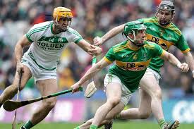 Image result for Shamrocks Hurling & Football Club