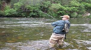 Image result for Runnymede Angling Association