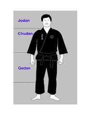 Image result for Jodan Karate