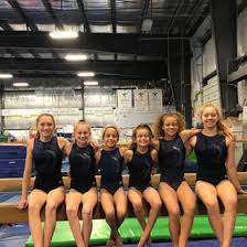Image result for Epping Forest Elite Gymnastics Club