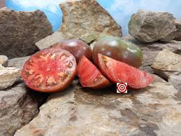 Afbeeldingsresultaat voor 1884 purple tomato