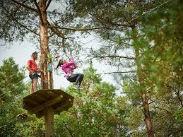 Image result for The Go Ape Experience (Delamere Forest)
