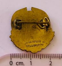 Image result for Huntly Bowling Club