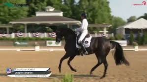 Image result for Interfreestyle Sport Karate