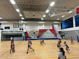 Image result for Wigan Juniors Yc Netball Club