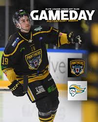 Image result for Nottingham Panthers