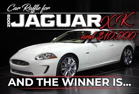 Image result for Porcelain 2008 Jaguar
