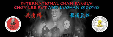 Image result for Tao So Choy Kung Fu Club, Hull