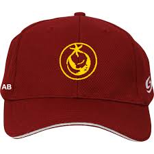 Image result for Hungerford Cricket Club