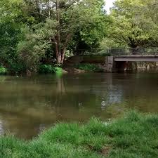 Image result for Leatherhead & District Angling Society