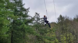 Image result for Go Ape! Dalby