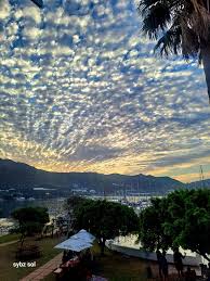 Image result for Bay Malton Angling Club