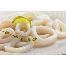 Image result for Dosidicus gigas