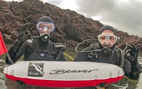 Image result for Harlow Sub-Aqua Club