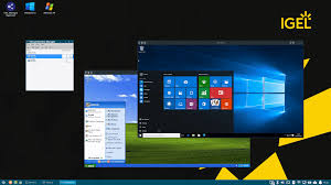 Image result for Igel