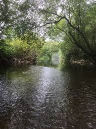 Image result for Plough Angling Society