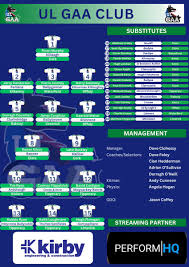 Image result for University Of Limerick Gaa Hurling Club